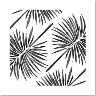 fan palm black Posters and Art